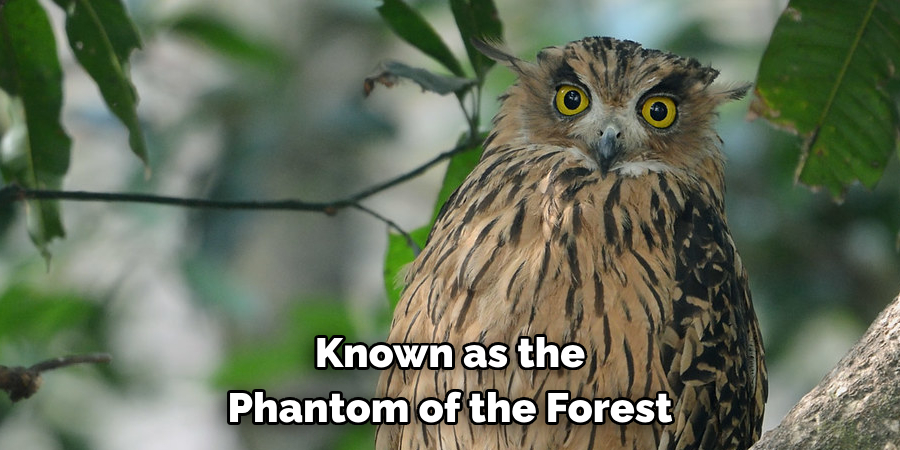 Known as the Phantom of the Forest
