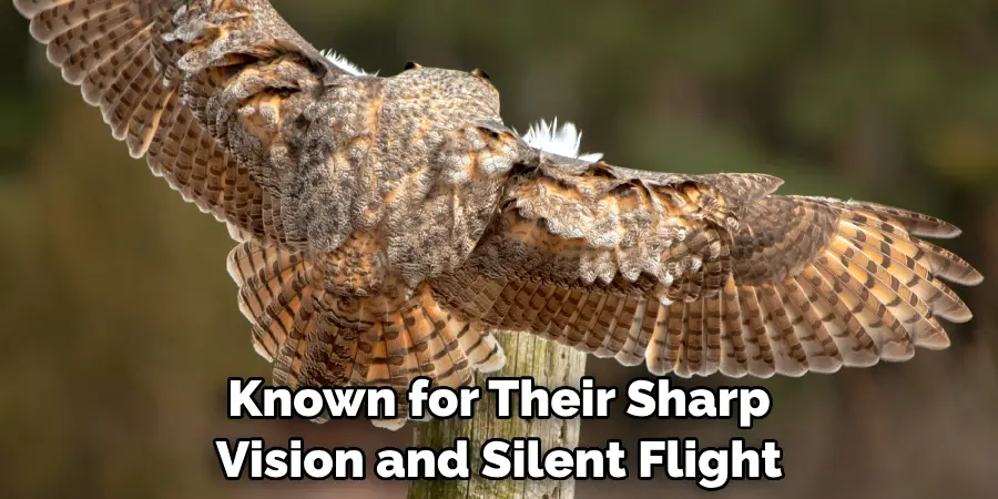 Known for Their Sharp Vision and Silent Flight