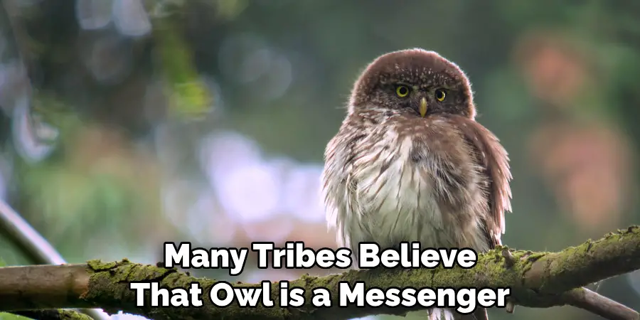 Many Tribes Believe That the Owl is a Messenger
