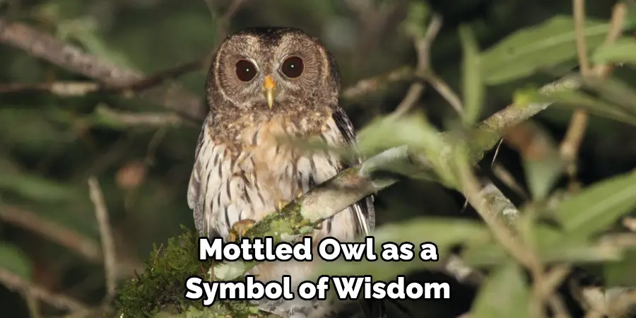 Mottled Owl as a Symbol of Wisdom