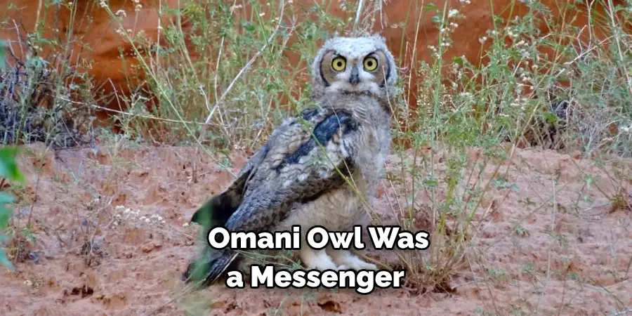 Omani Owl Was a Messenger
