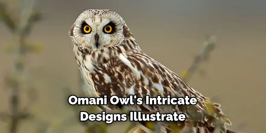 Omani Owl's Intricate Designs Illustrate