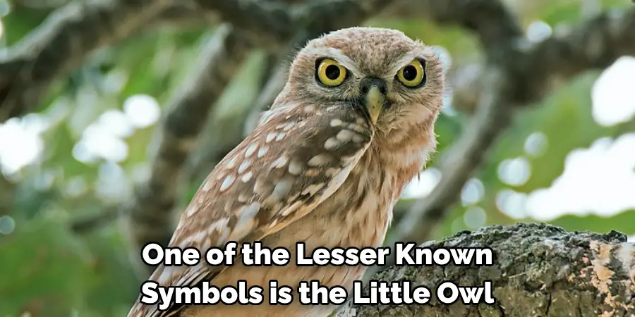 One of the Lesser Known Symbols is the Little Owl
