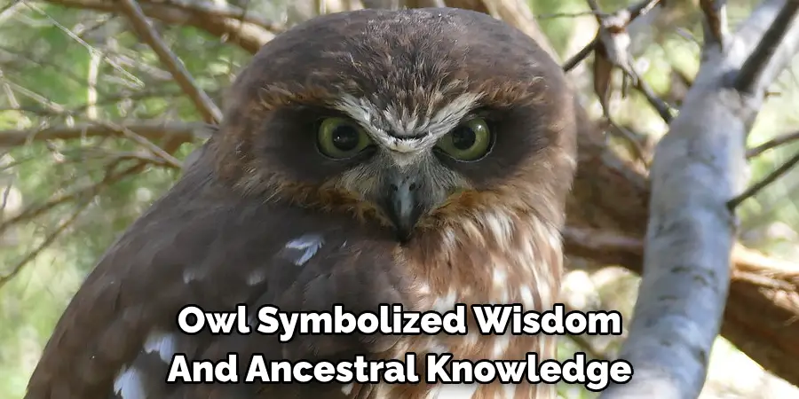 owl symbolized wisdom and ancestral knowledge