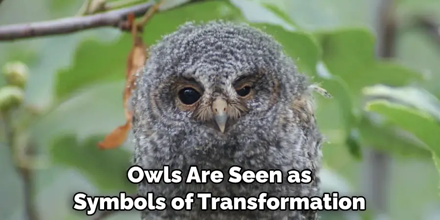 Owls Are Seen as Symbols of Transformation