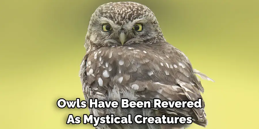 Owls Have Been Revered As Mystical Creatures
