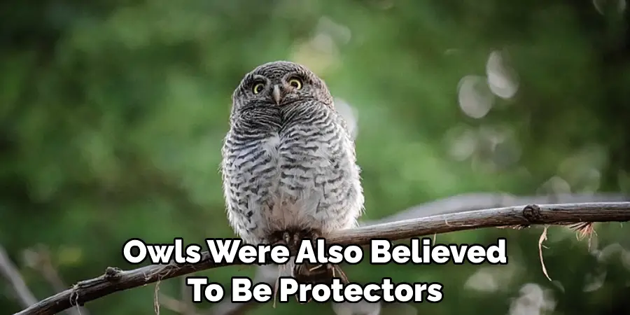 Owls Were Also Believed To Be Protectors