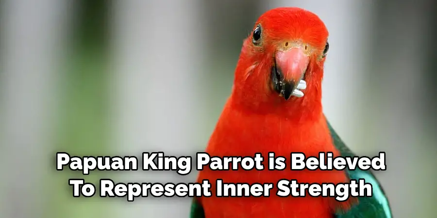Papuan King Parrot is Believed To Represent Inner Strength