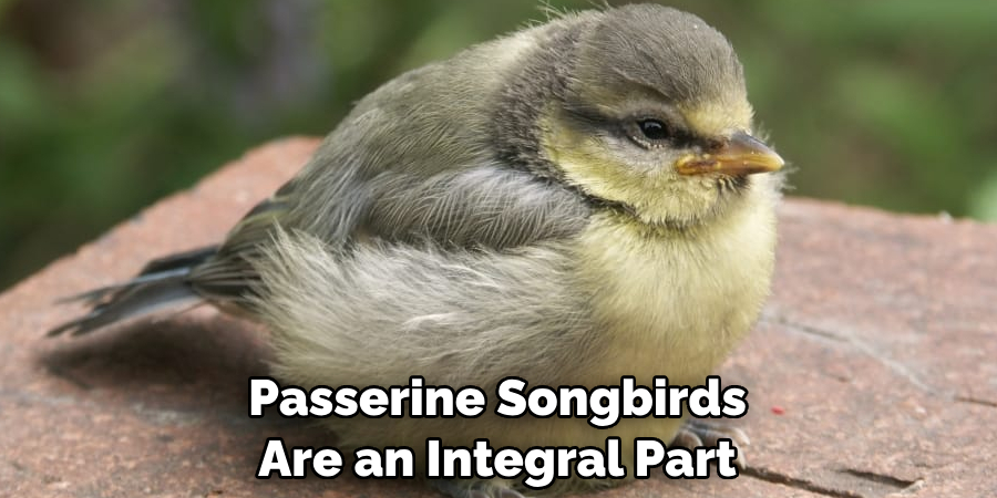 Passerine Songbirds Are an Integral Part