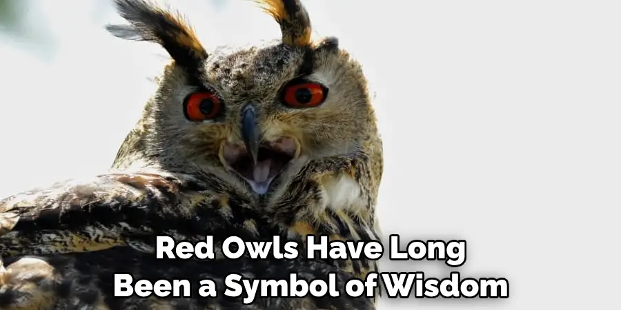 Red Owls Have Long Been a Symbol of Wisdom