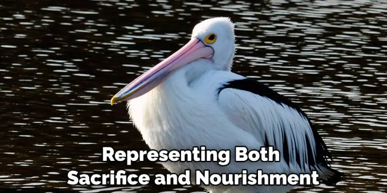 Pelican Spiritual Meaning, Symbolism and Totem | Detailed Guide