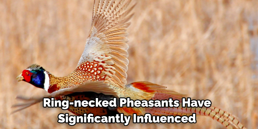 Ring-necked Pheasants Have Significantly Influenced