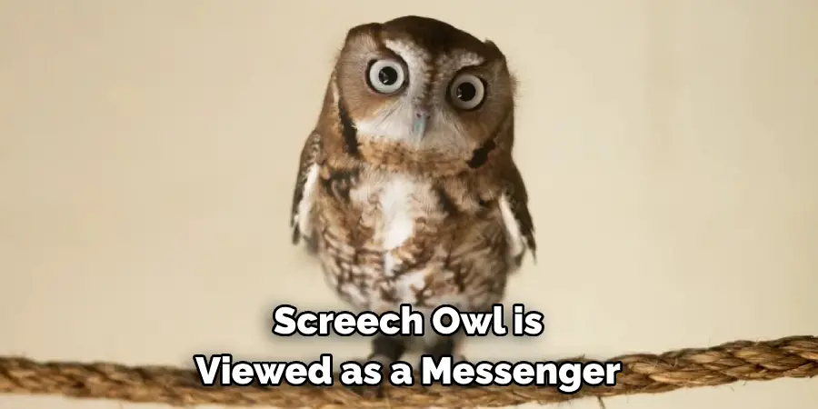 Screech Owl is Viewed as a Messenger
