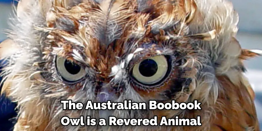 The Australian Boobook Owl is a Revered Animal