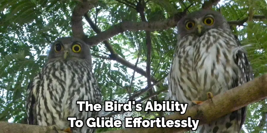 The Bird's Ability To Glide Effortlessly