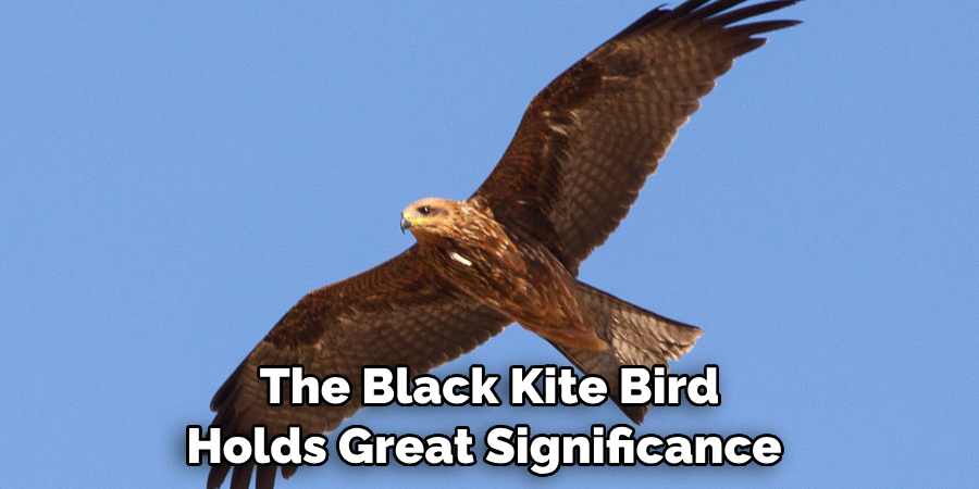 The Black Kite Bird Holds Great Significance
