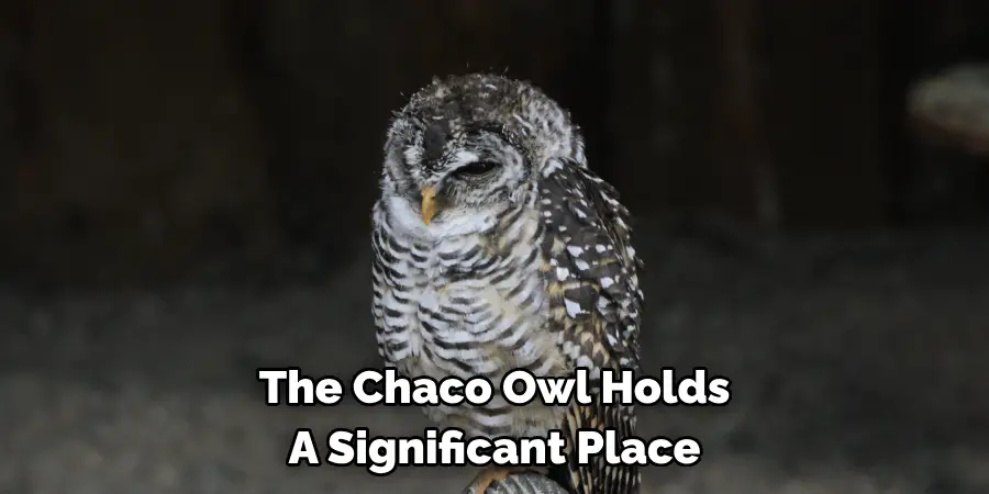 The Chaco Owl Holds A Significant Place