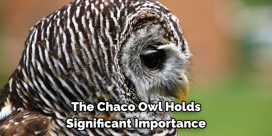 The Chaco Owl Holds Significant Importance