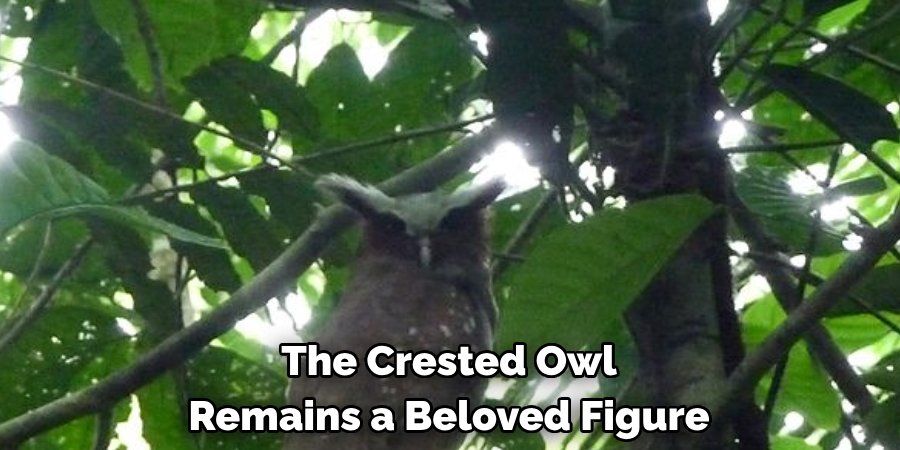 The Crested Owl Remains a Beloved Figure