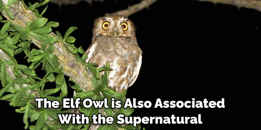 The Elf Owl is Also Associated With the Supernatural