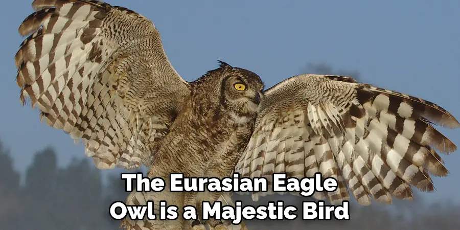 The Eurasian Eagle Owl is a Majestic Bird