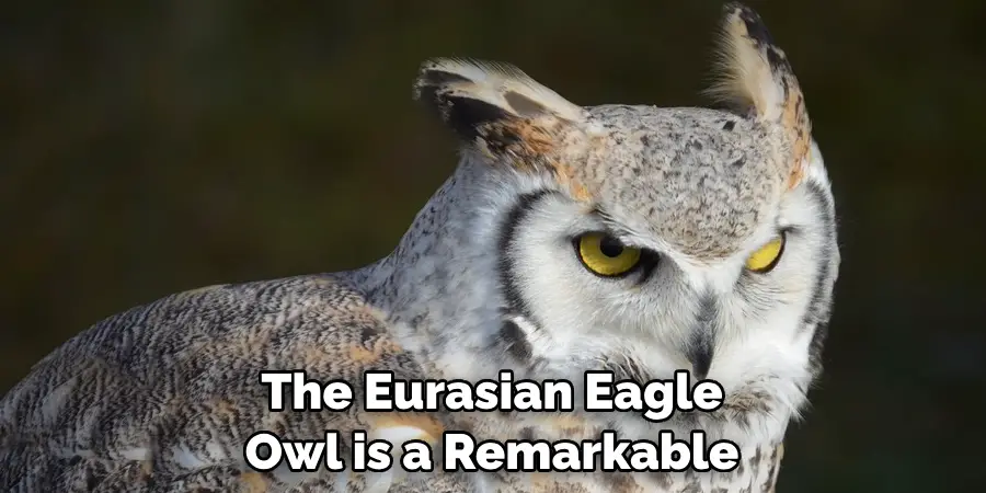 The Eurasian Eagle Owl is a Remarkable