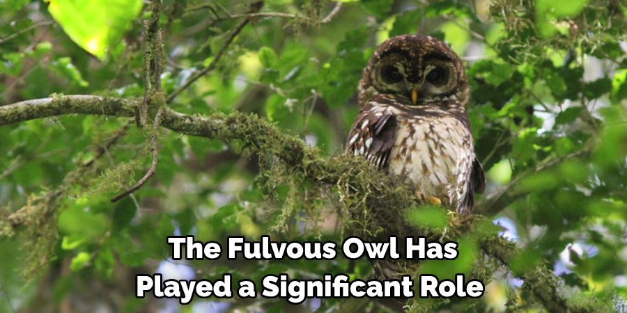 The Fulvous Owl Has 
Played a Significant Role 
