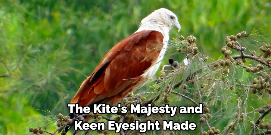 The Kite's Majesty and Keen Eyesight Made