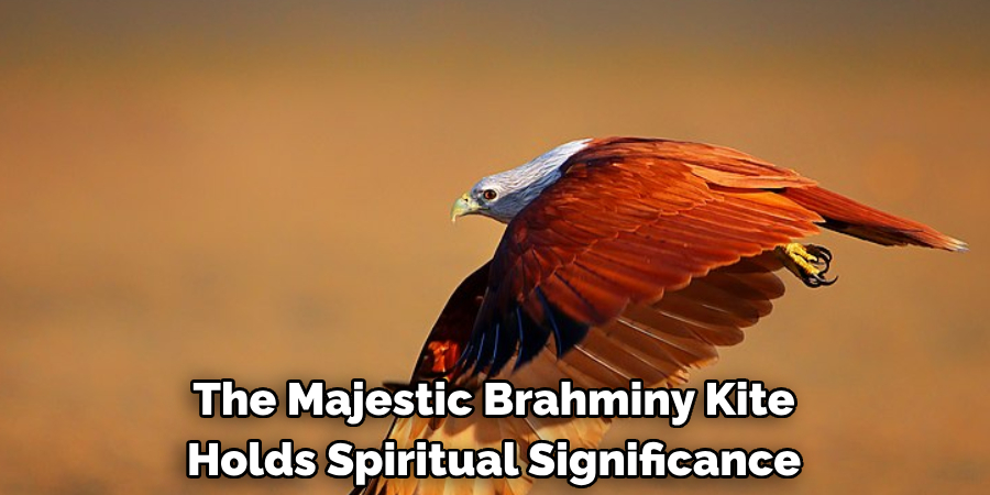 The Majestic Brahminy Kite Holds Spiritual Significance