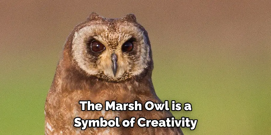 The Marsh Owl is a Symbol of Creativity