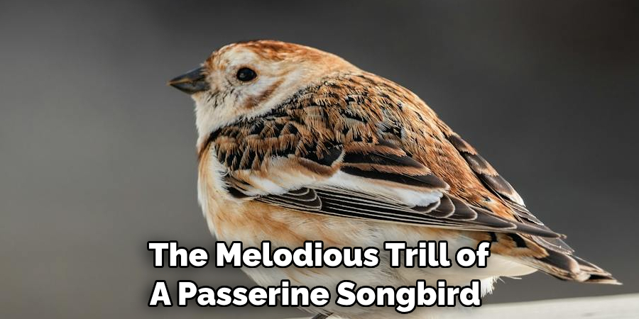 The Melodious Trill of A Passerine Songbird