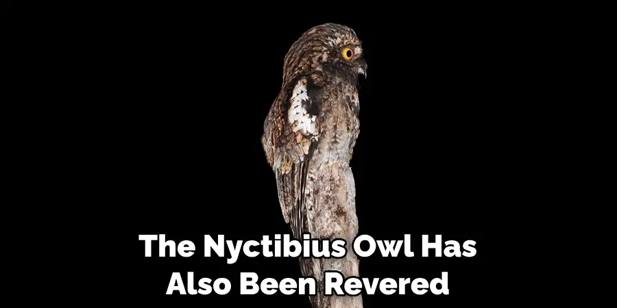 The Nyctibius Owl Has Also Been Revered
