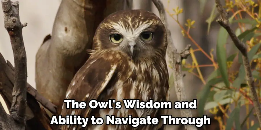 The Owl's Wisdom and Ability to Navigate Through