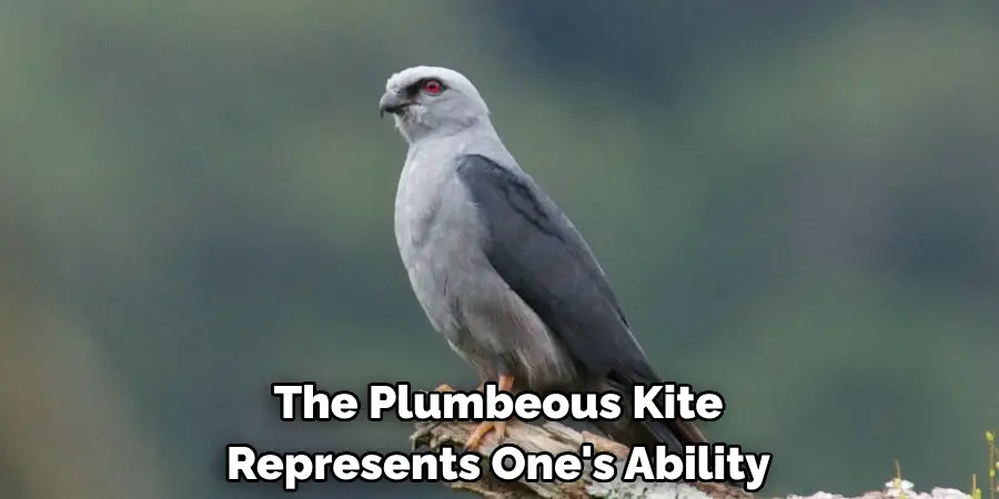 The Plumbeous Kite Represents One's Ability