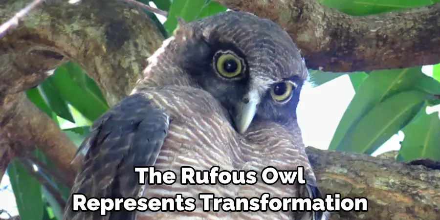 The Rufous Owl May Symbolize the Need