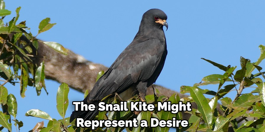 The Snail Kite Might Represent a Desire