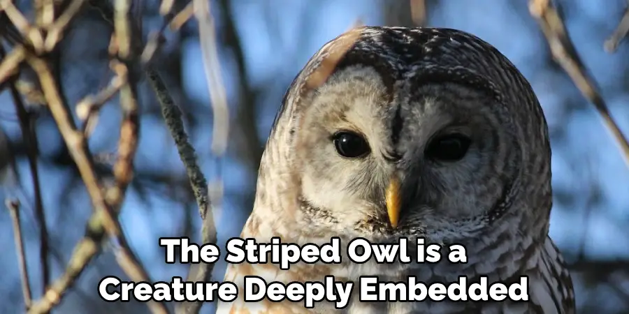 The Striped Owl is a Creature Deeply Embedded