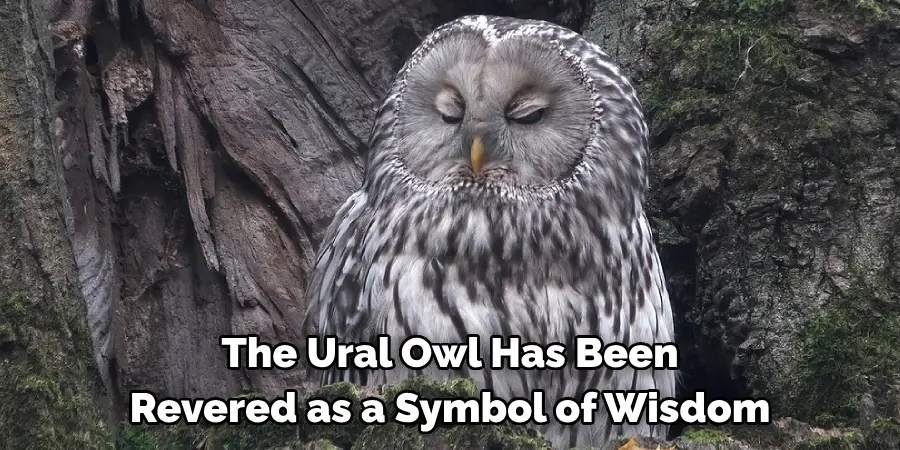 The Ural Owl Has Been Revered as a Symbol of Wisdom