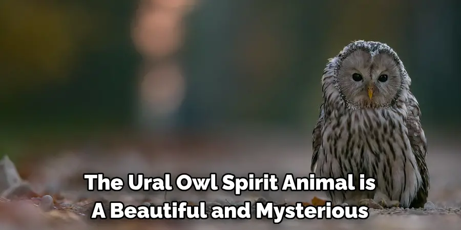 The Ural Owl Spirit Animal is A Beautiful and Mysterious