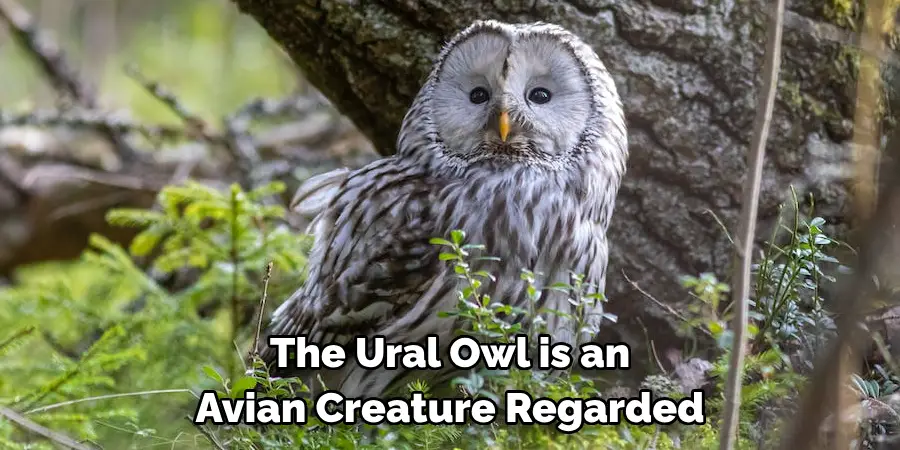 The Ural Owl is an Avian Creature Regarded