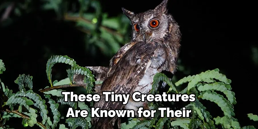 These Tiny Creatures Are Known for Their