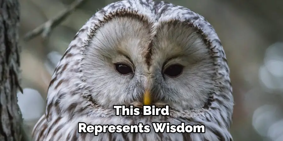 This Bird Represents Wisdom 