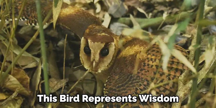 This Bird Represents Wisdom