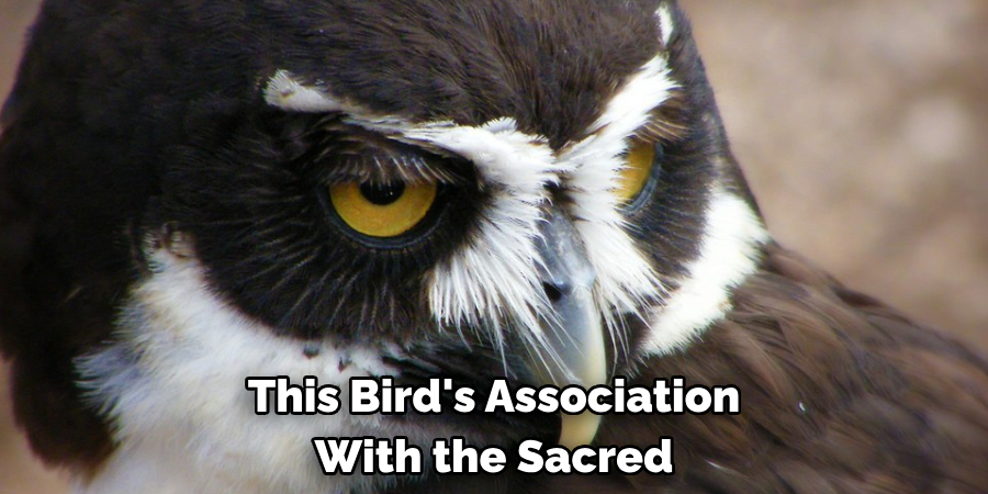 This Bird's Association With the Sacred