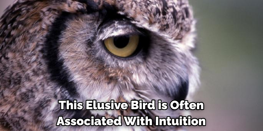 This Elusive Bird is Often Associated With Intuition