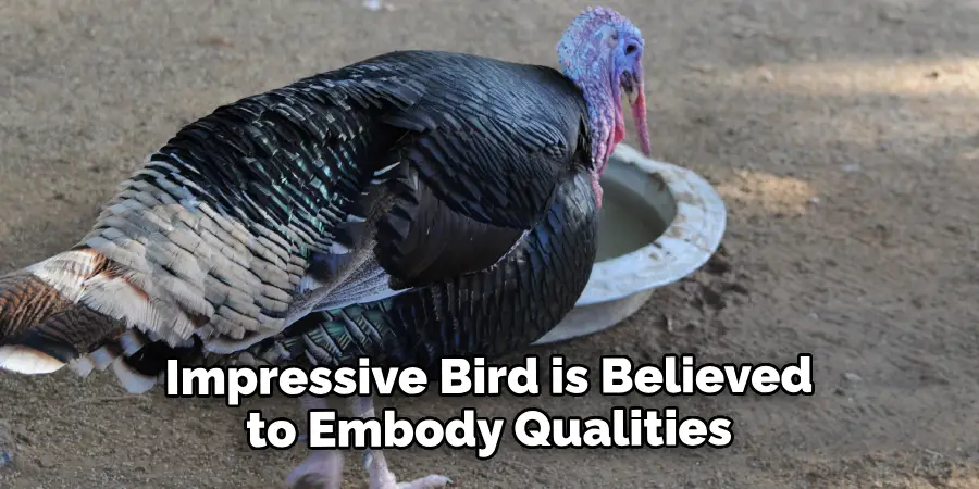 This Impressive Bird is Believed to Embody Qualities