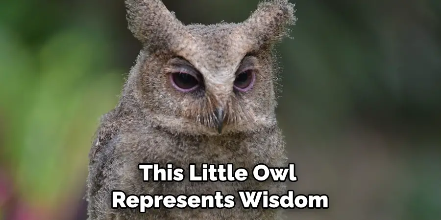 This Little Owl Represents Wisdom
