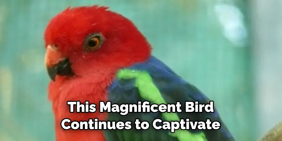 This Magnificent Bird Continues to Captivate