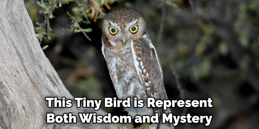 This Tiny Bird is Believed to Represent Both Wisdom and Mystery