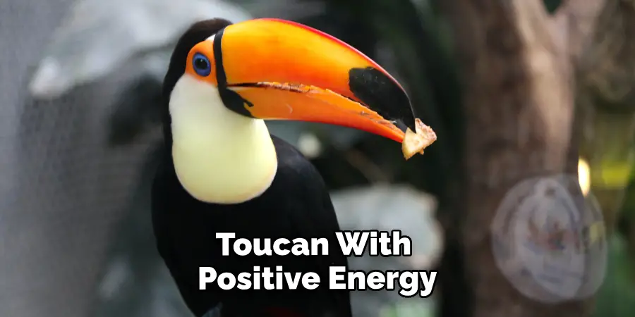 Toucan With Positive Energy